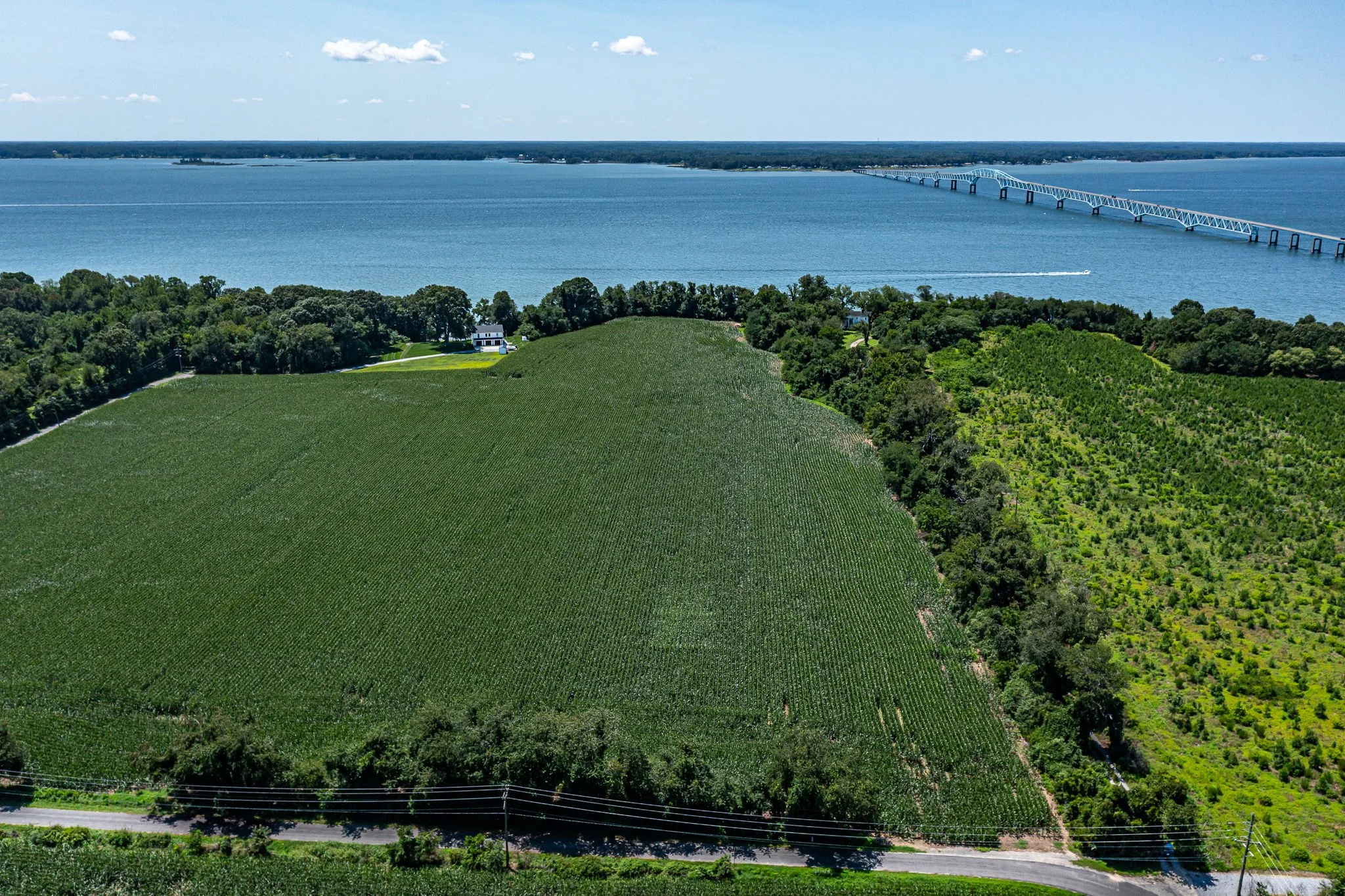 Field with Bridge.jpg