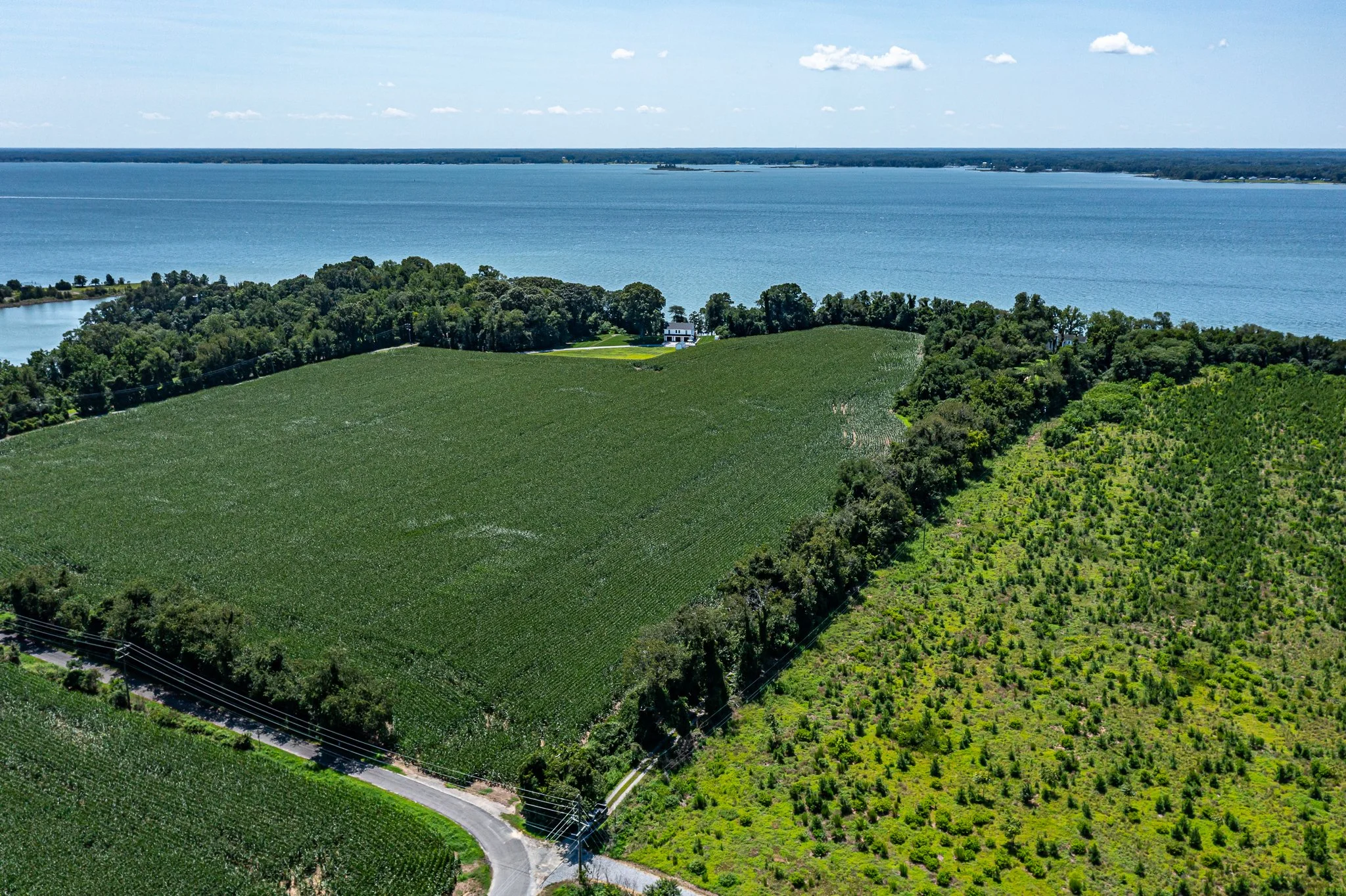 Field with View Across River.jpg