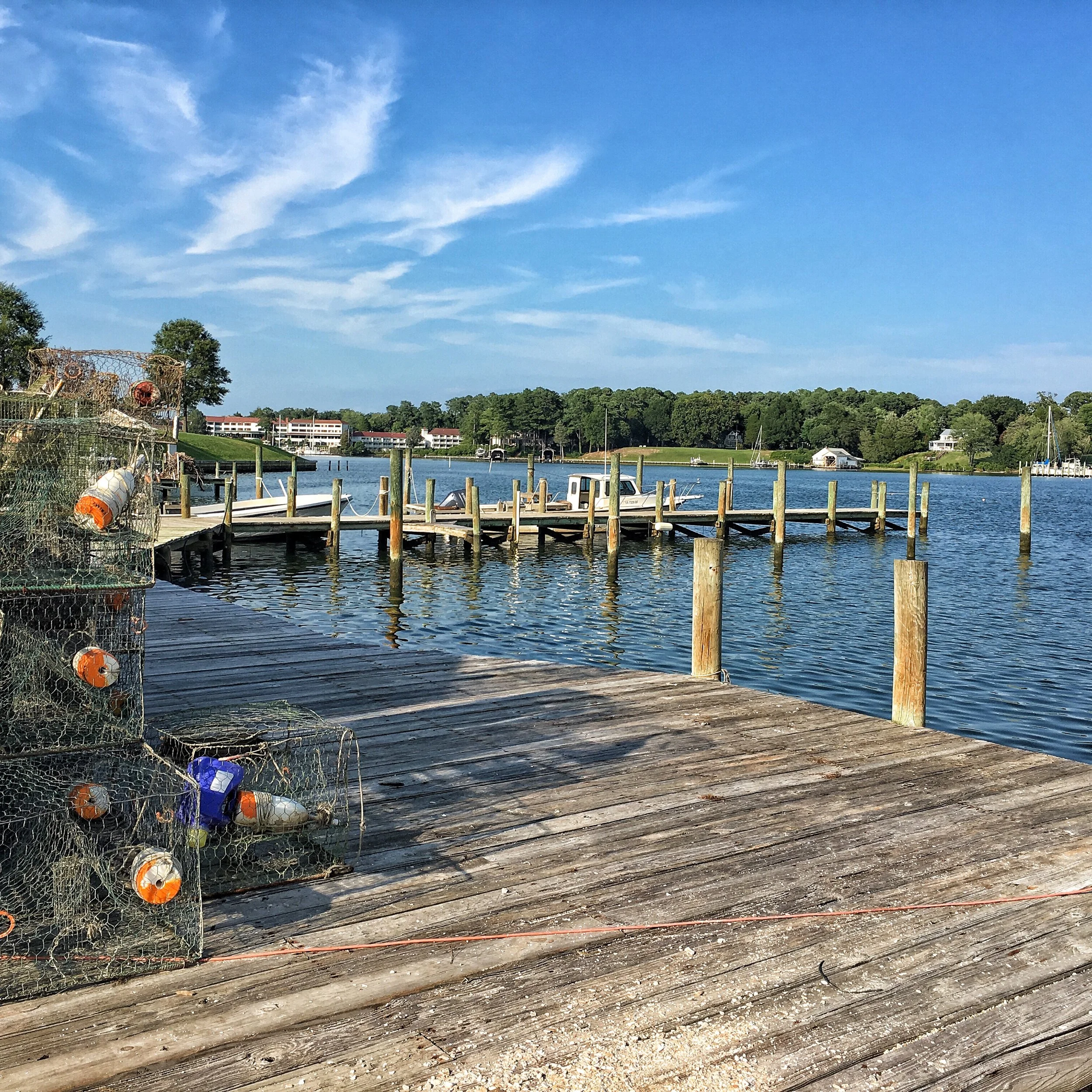 REEDVILLE REAL ESTATE