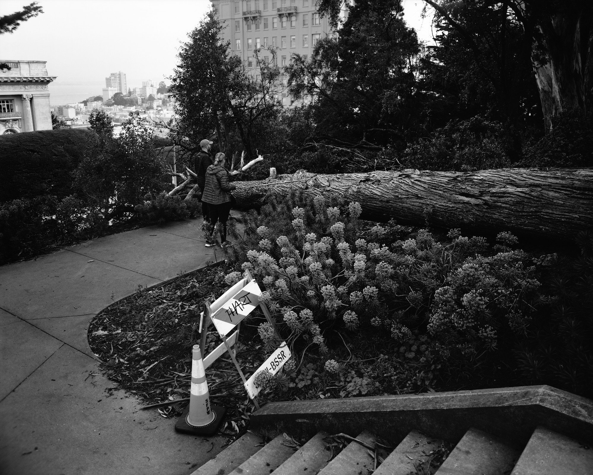 2. Road Block.jpg