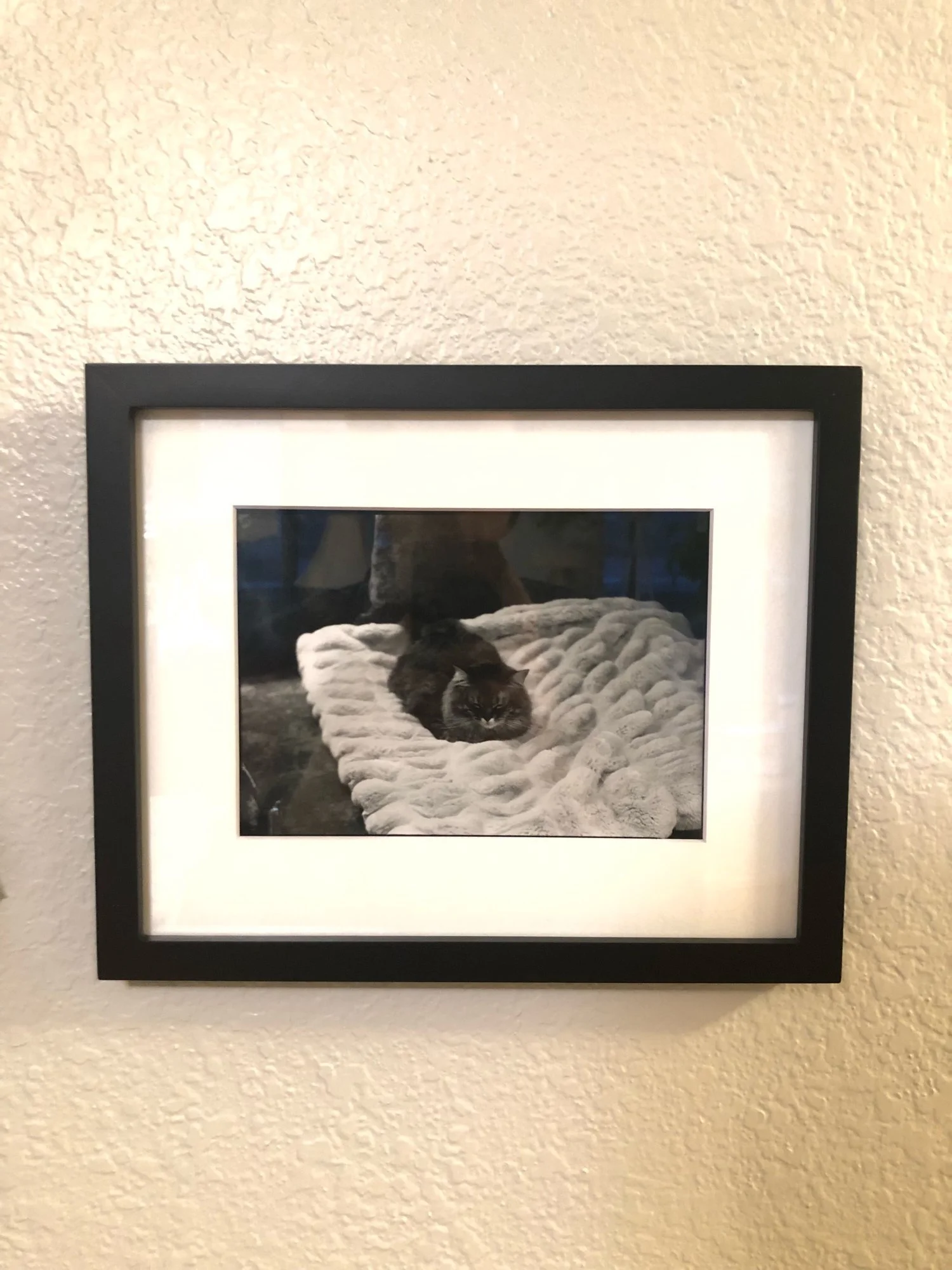 Making a Photograph: Simple Steps to Produce a Work of Art