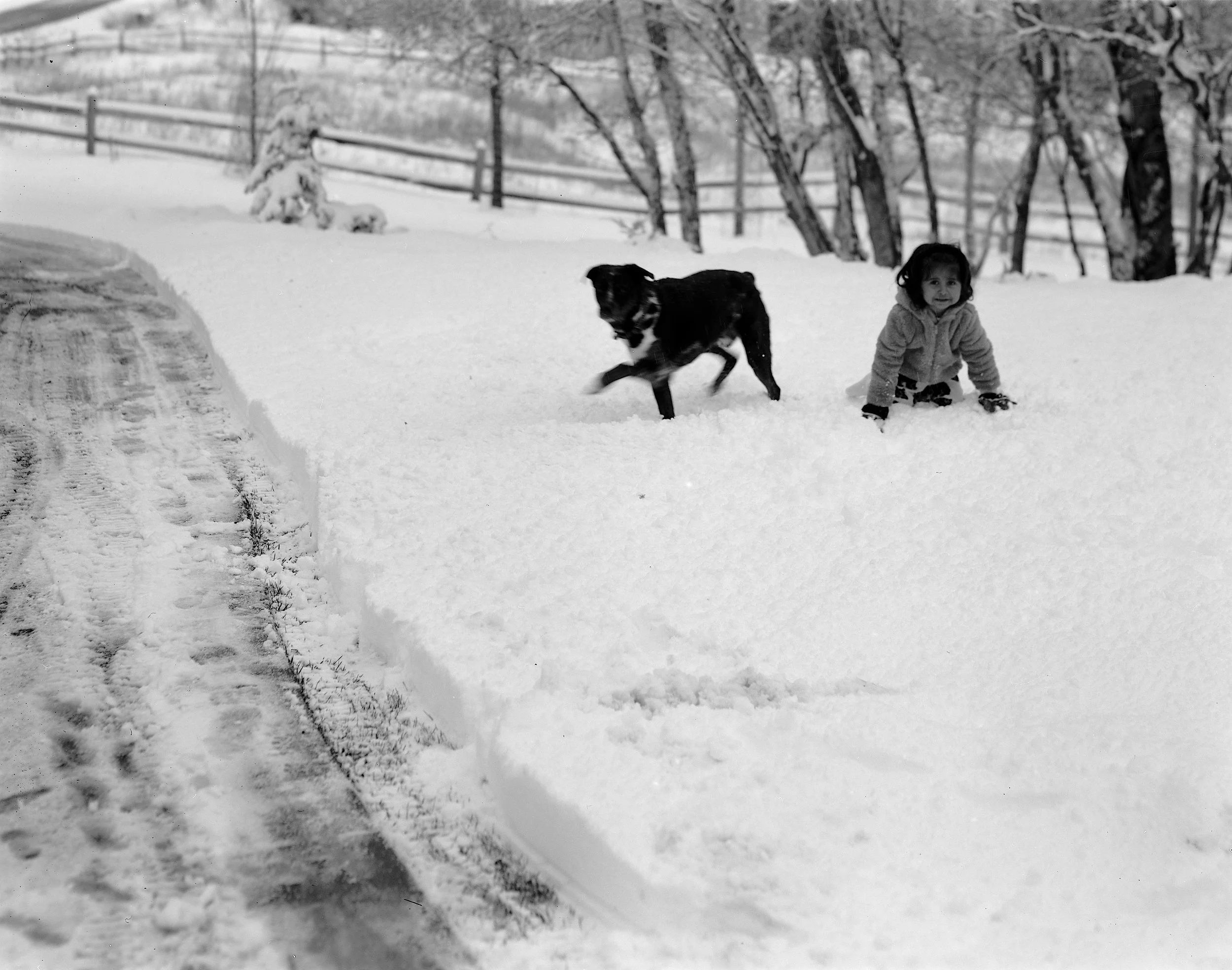 Ellia in the snow with Beau.jpg