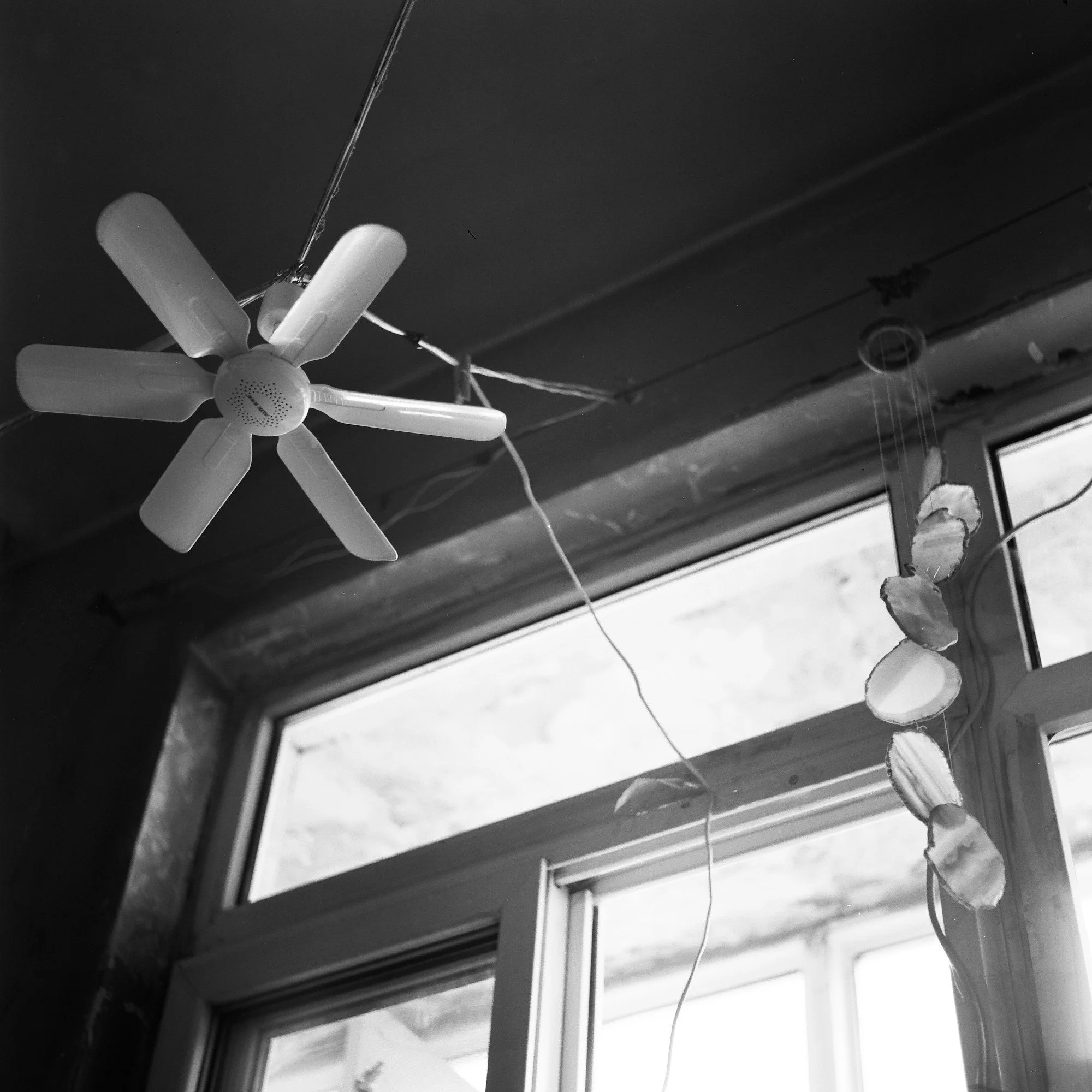 China BW celine fan web.jpg
