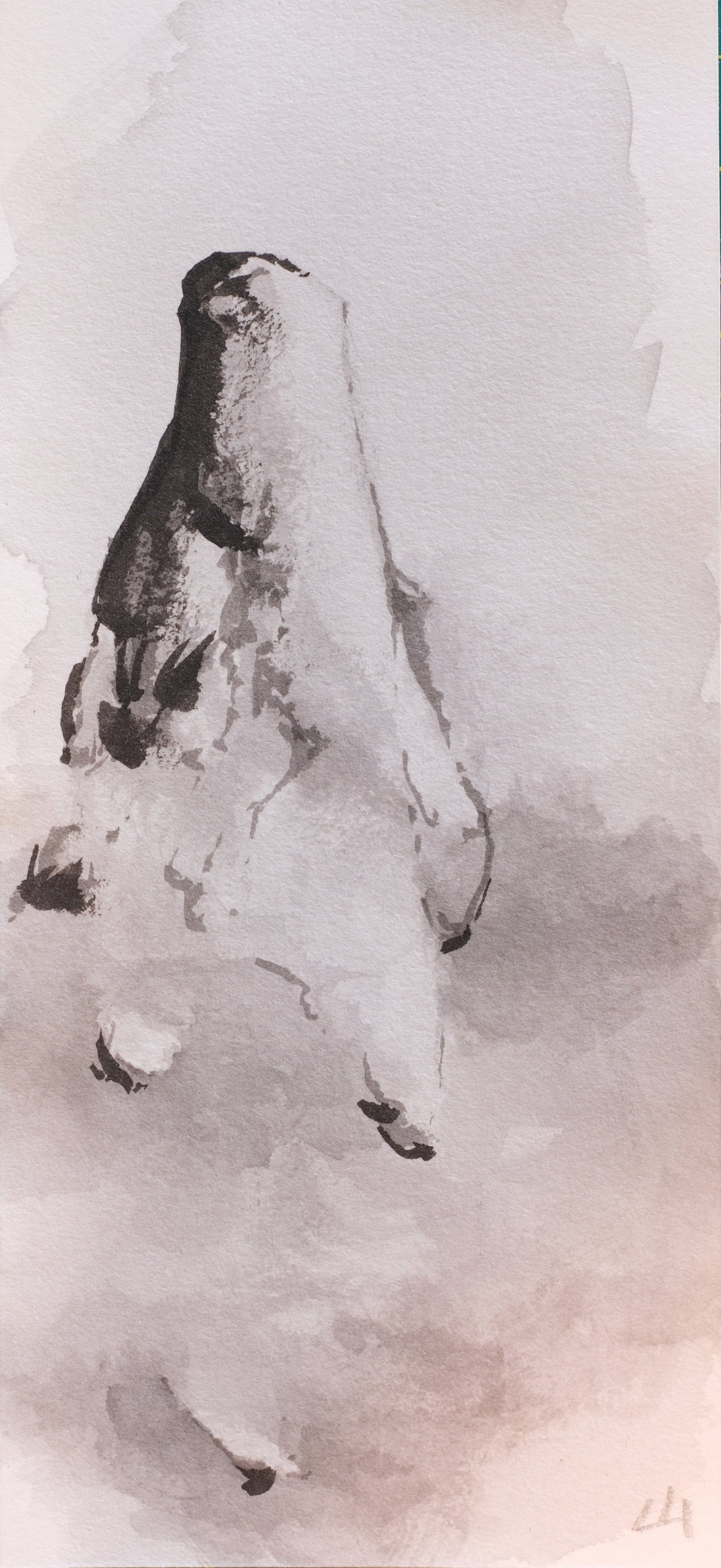 DSCF2521.jpg