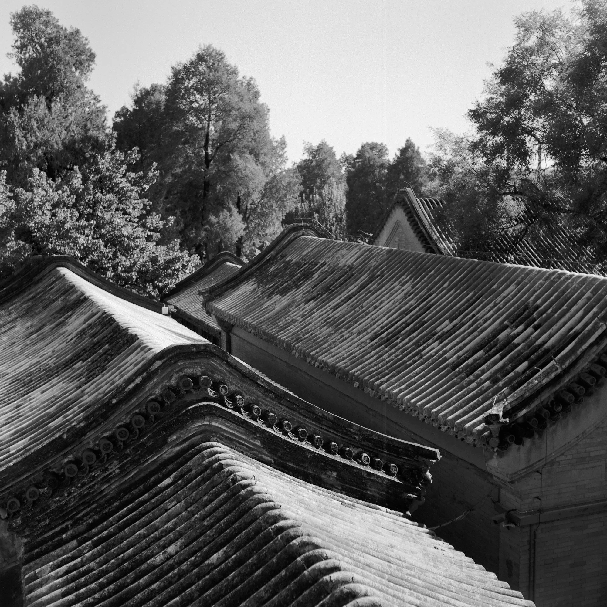 China BW Rooftops Web.jpg