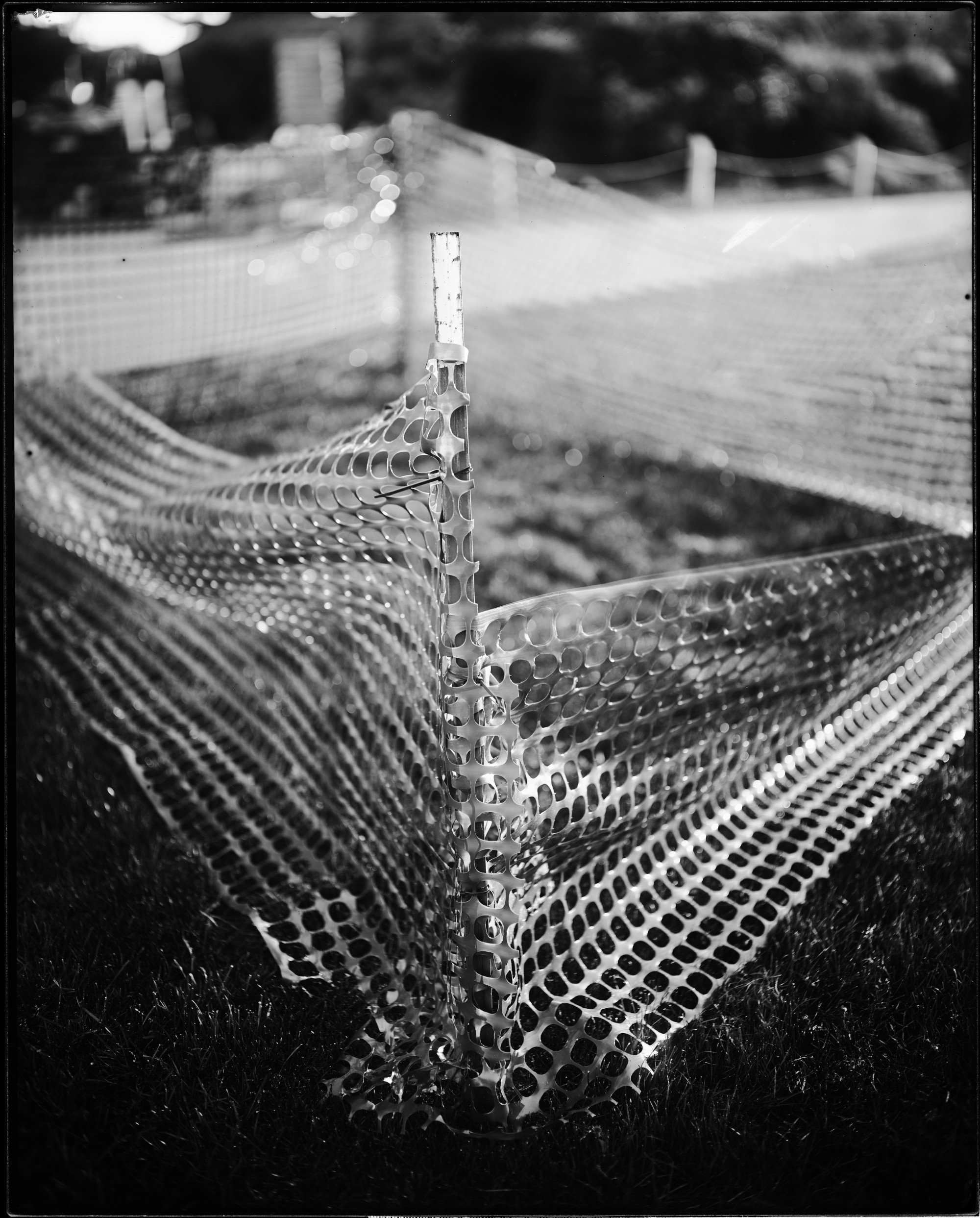 Holy Ground Plate Large web.jpg