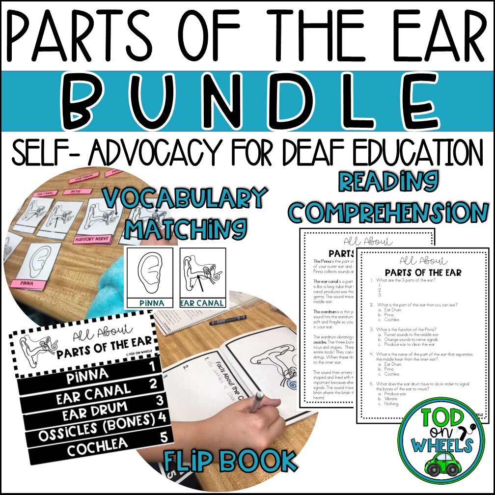 deaf-education-self-advocacy-parts-of-the-ear-bundle