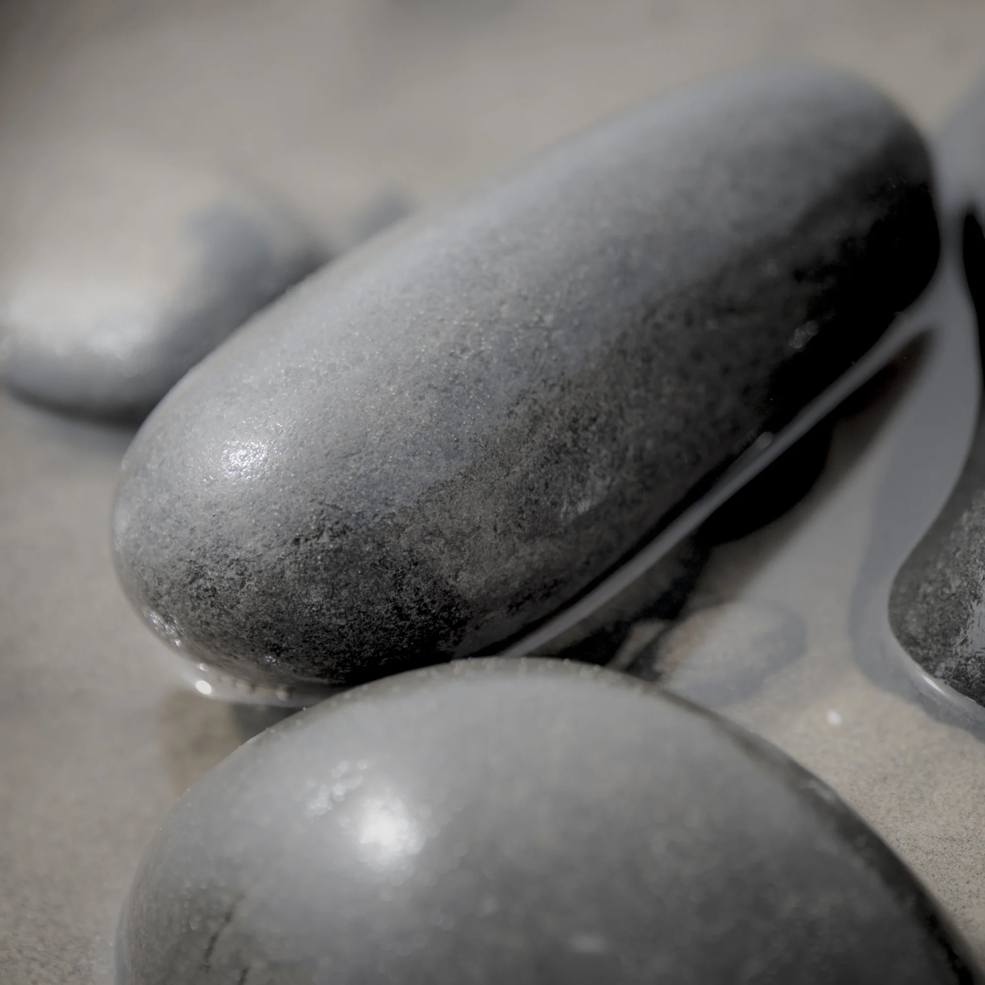 03 - praesagitio.jpg