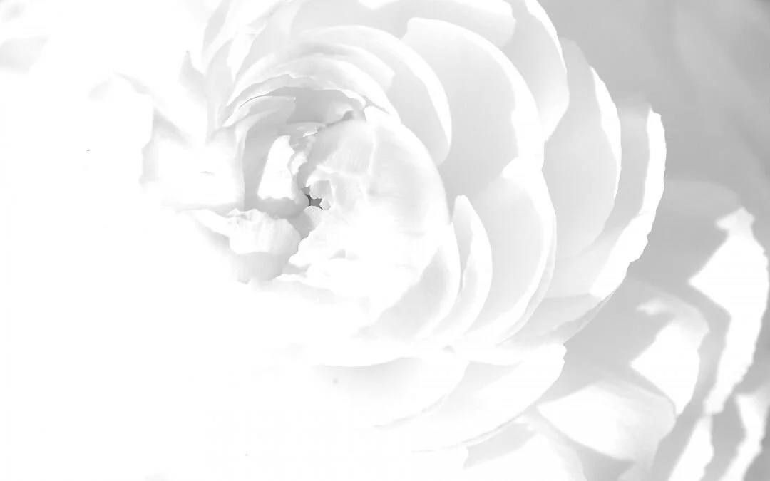 5e4866581560e628b43b0cae72e448a7.jpg