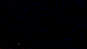 *darn, excuse the only gif that doesn’t loop well!