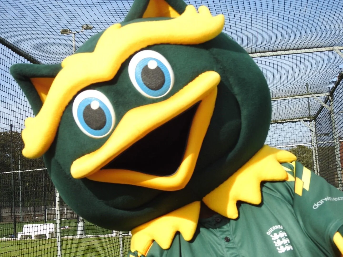 cricket mascot.jpg