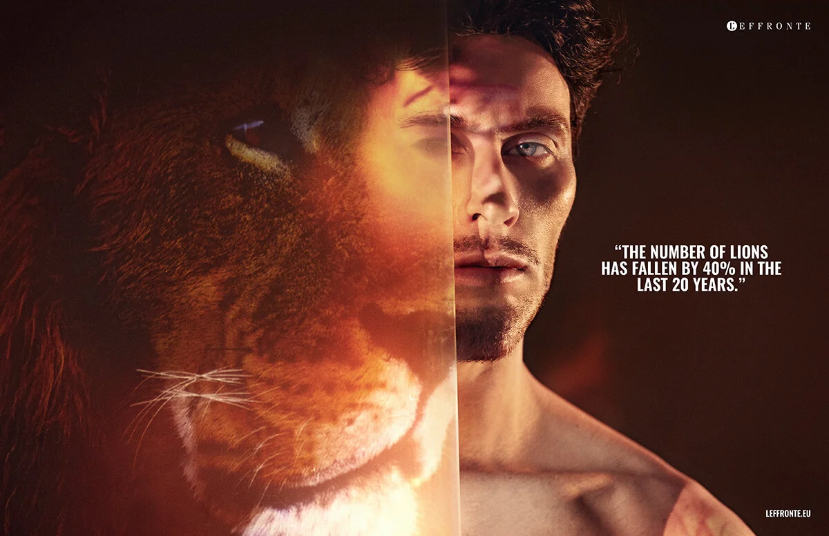 Layout for Pascal (4).JPG