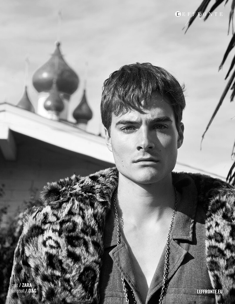 mr hollywood (1).jpg