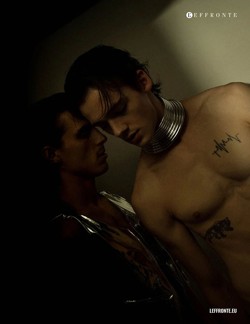 swans by Elys berroteran (7).jpg