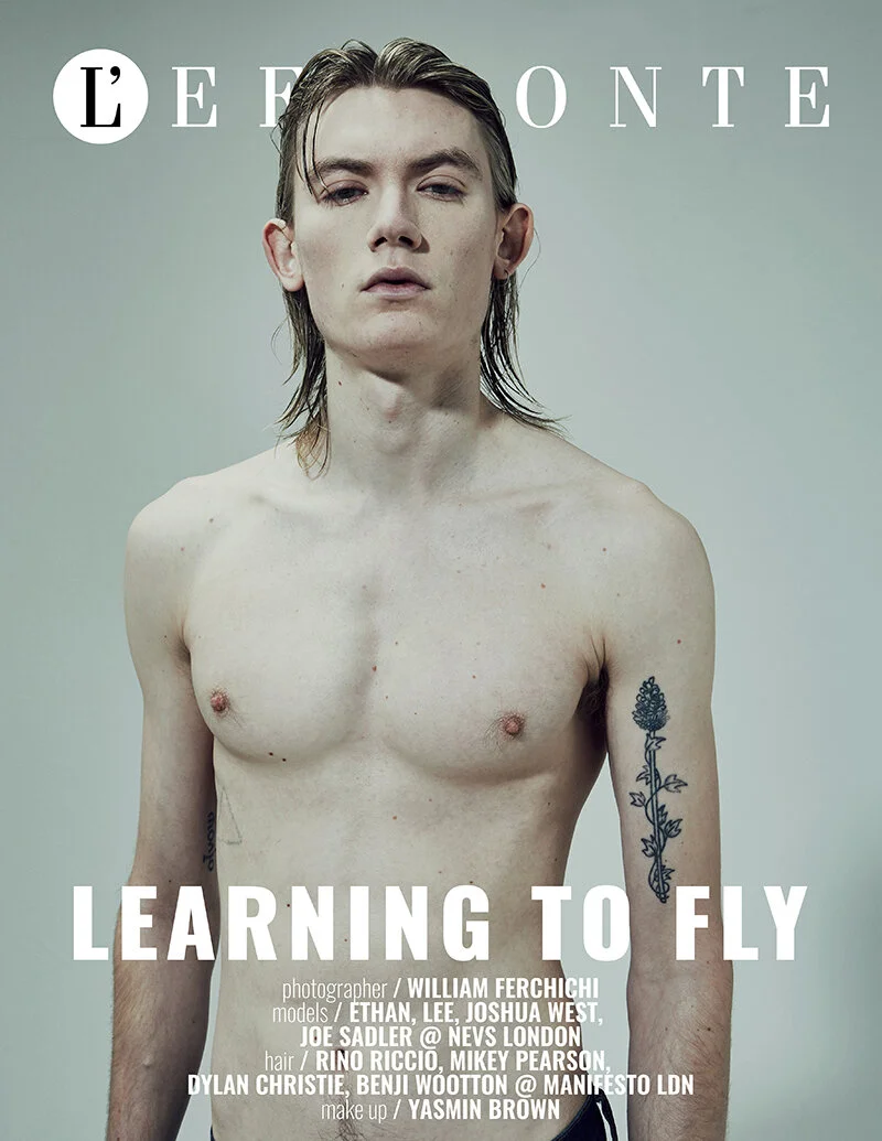 Learning to fly by William Ferchichi