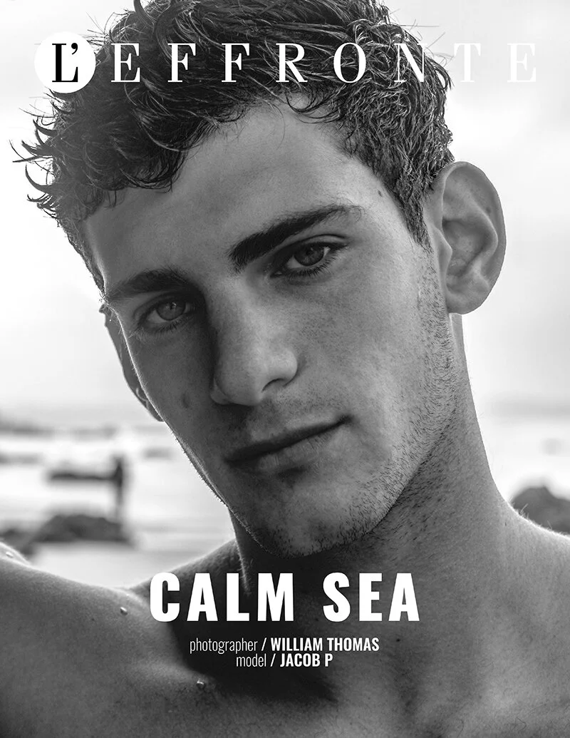 Calm Sea by William Thomas