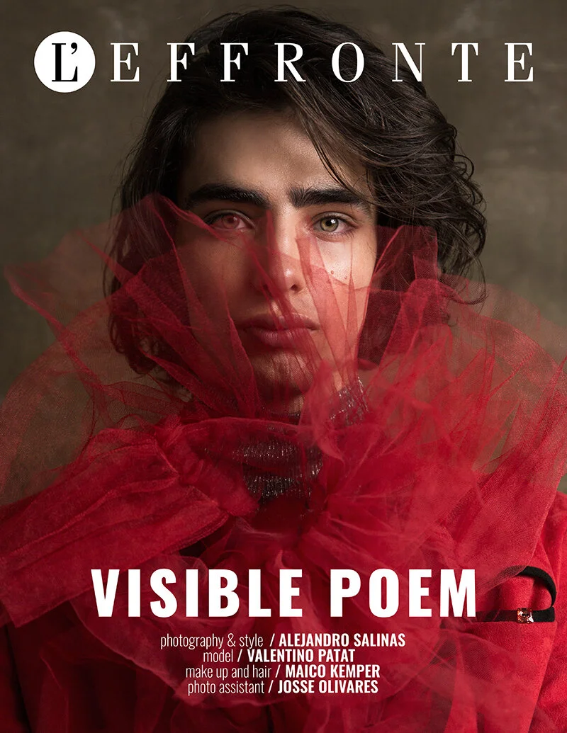 Visible Poem by Alejandro Salinas