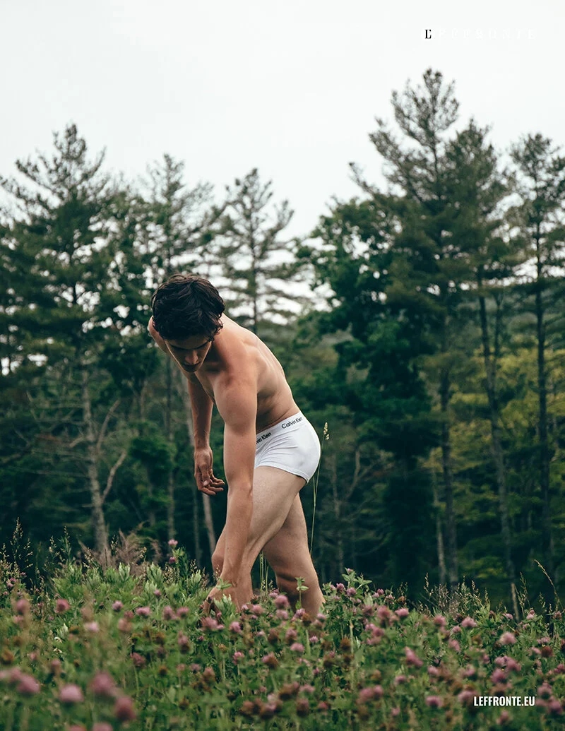 Into the wild (5).jpg