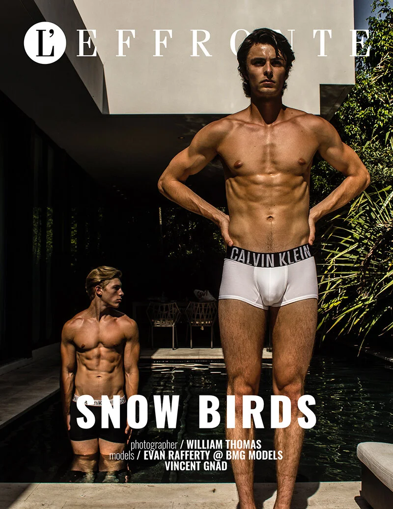 Snow birds by William Thomas