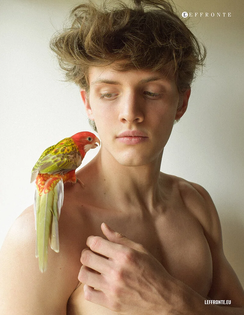 The Whisperer (5).jpg