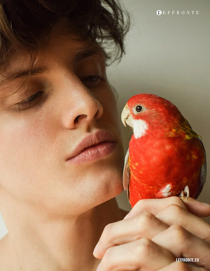 The Whisperer (6).jpg