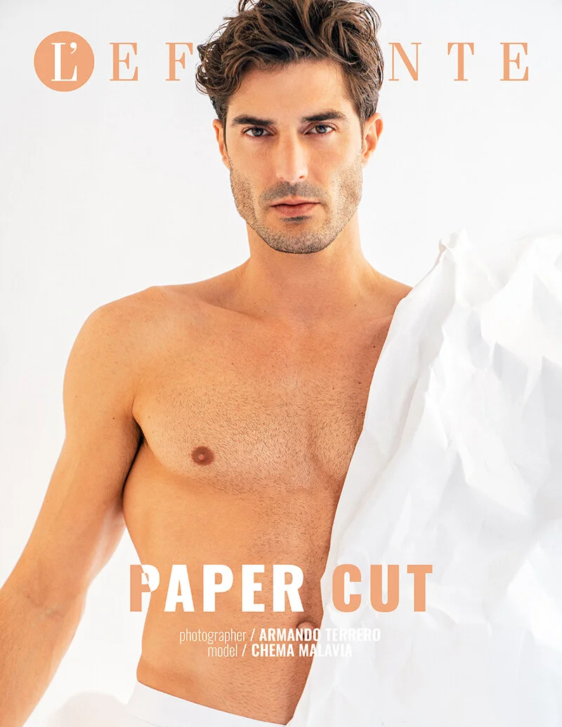 Paper cut by ARMANDO TERRERO