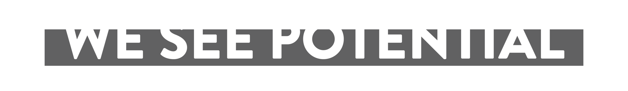 what we do titles2.png