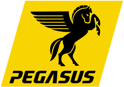 Pega logo-5-15-19.png