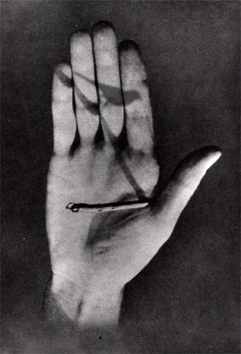 Hand Perch