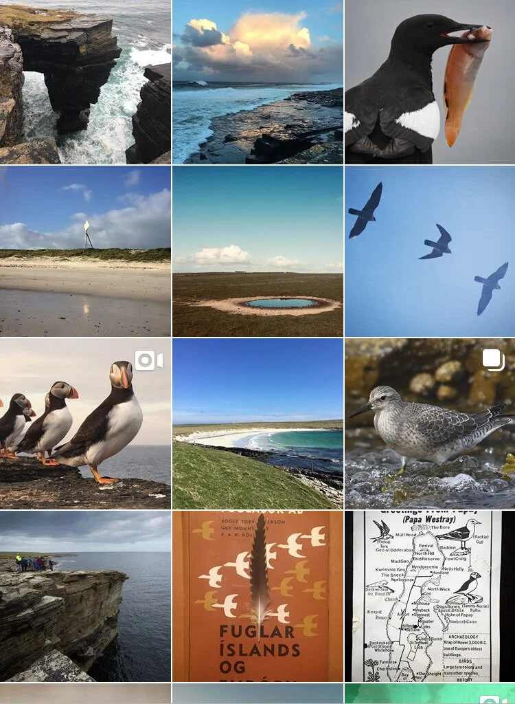 An Unintentional Diary