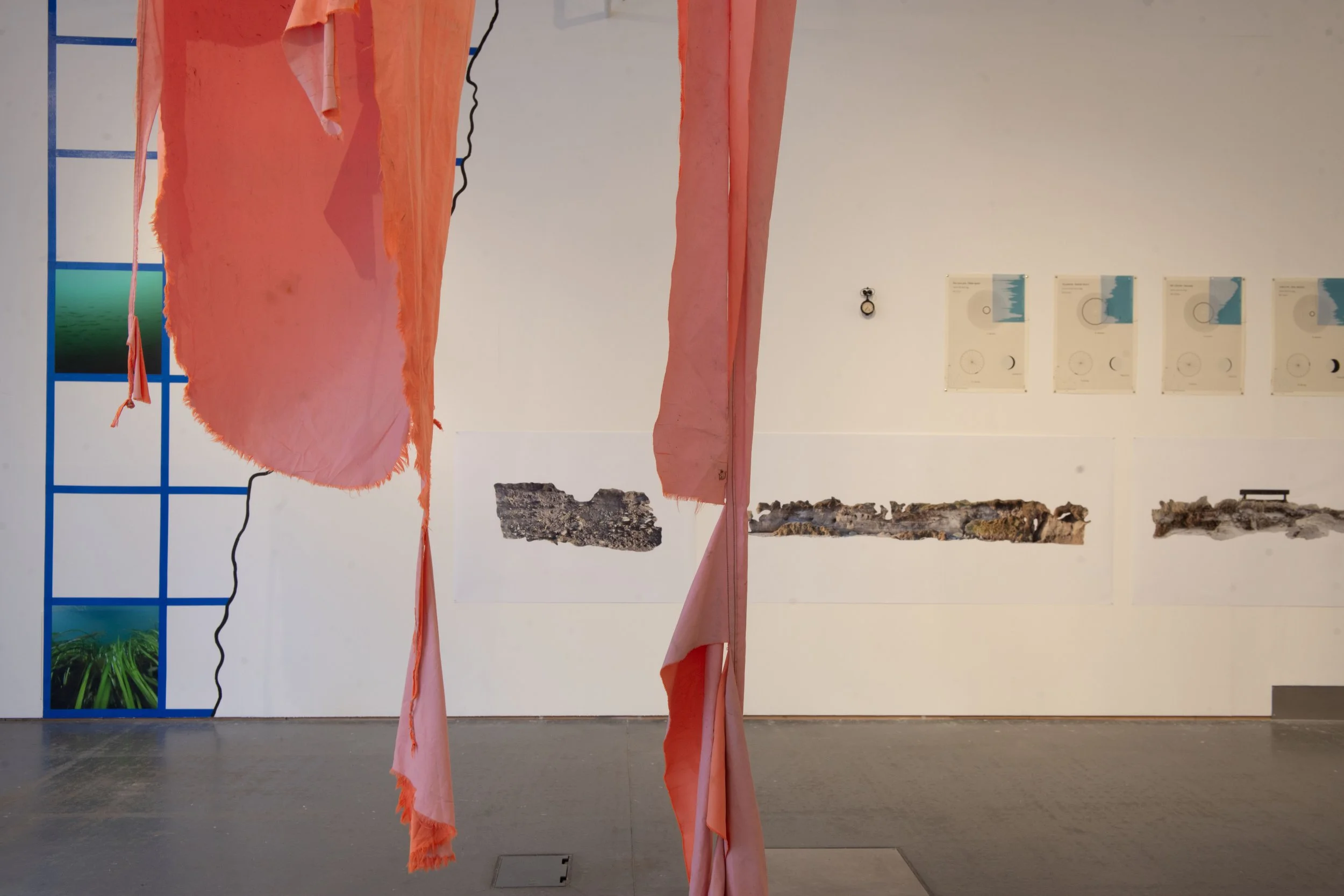 survy-installation-view_54826488867_o.jpg