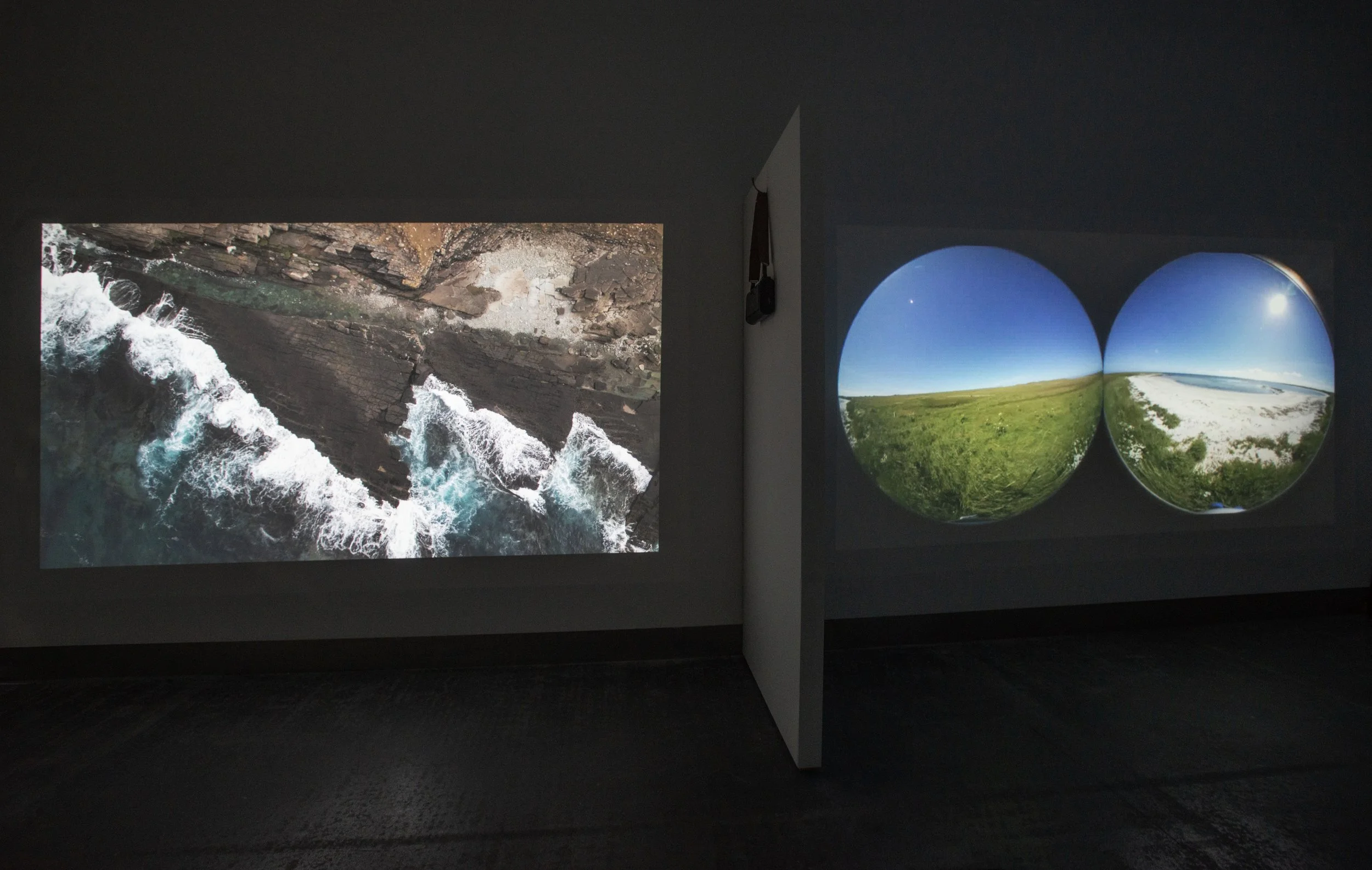 survy-installation-view_54826488762_o.jpg
