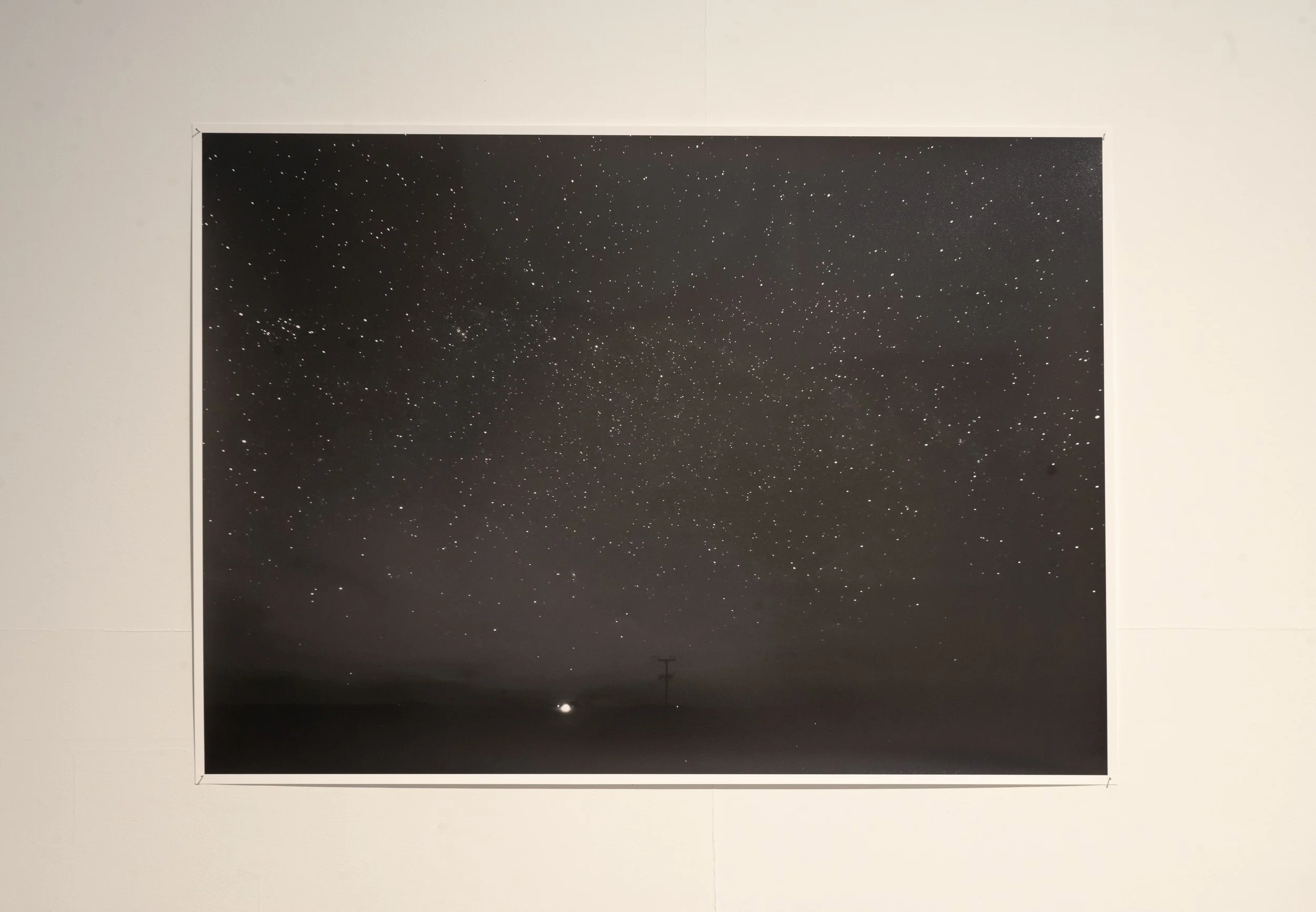 survy-installation-view_54827336756_o.jpg
