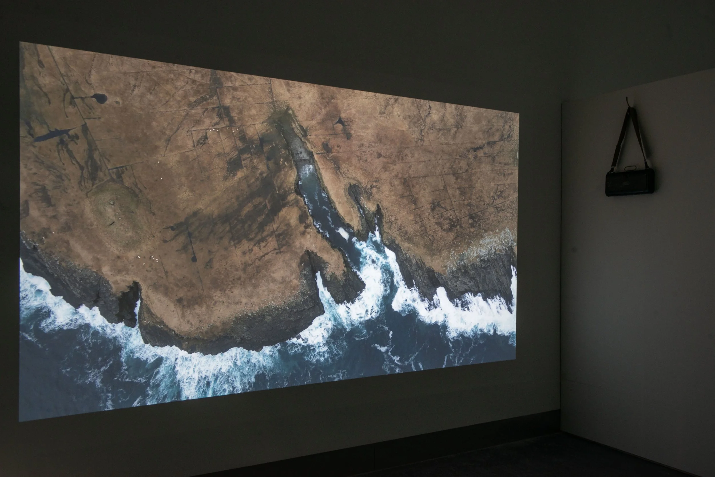 survy-installation-view_54827336911_o.jpg