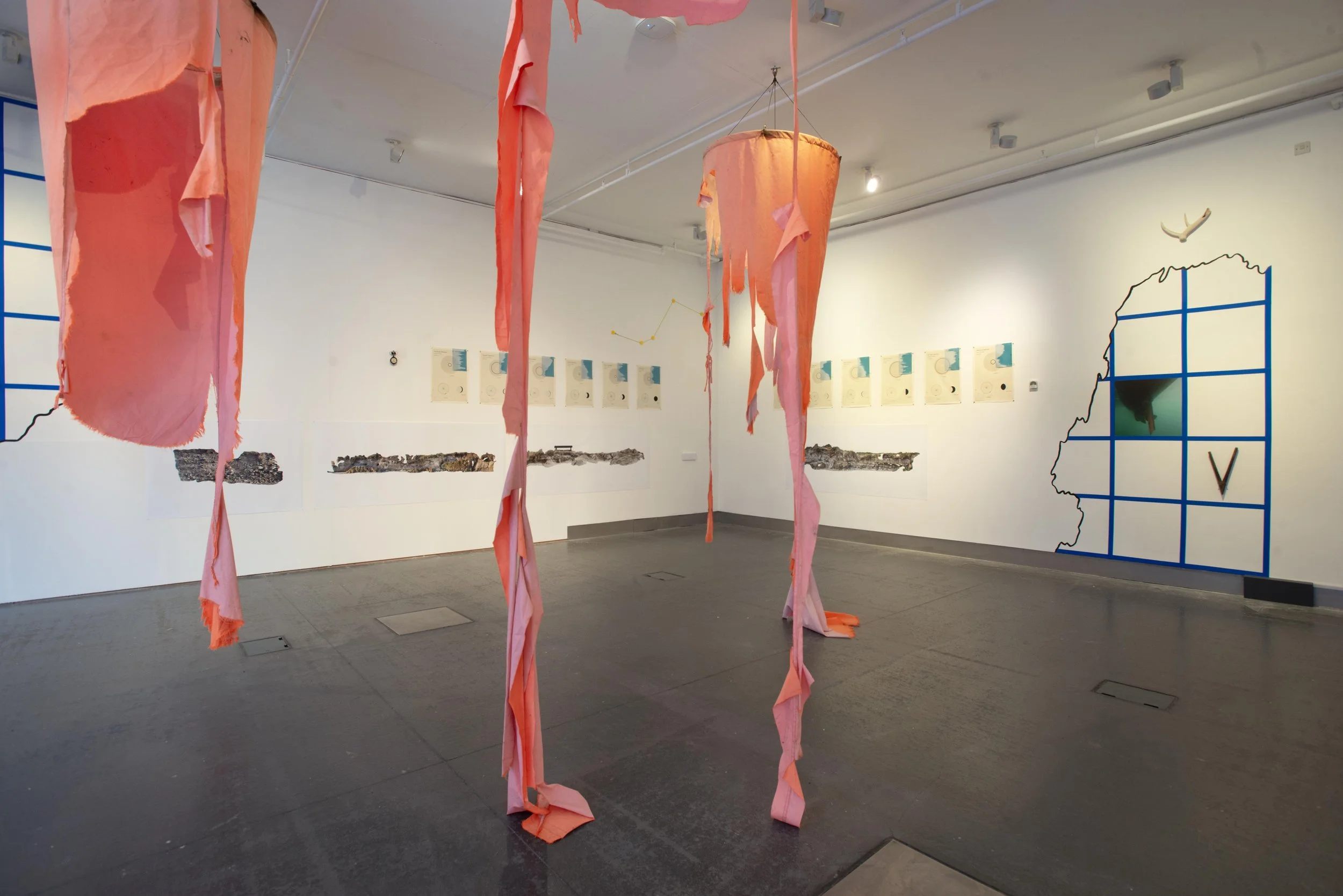 survy-installation-view_54827583189_o.jpg