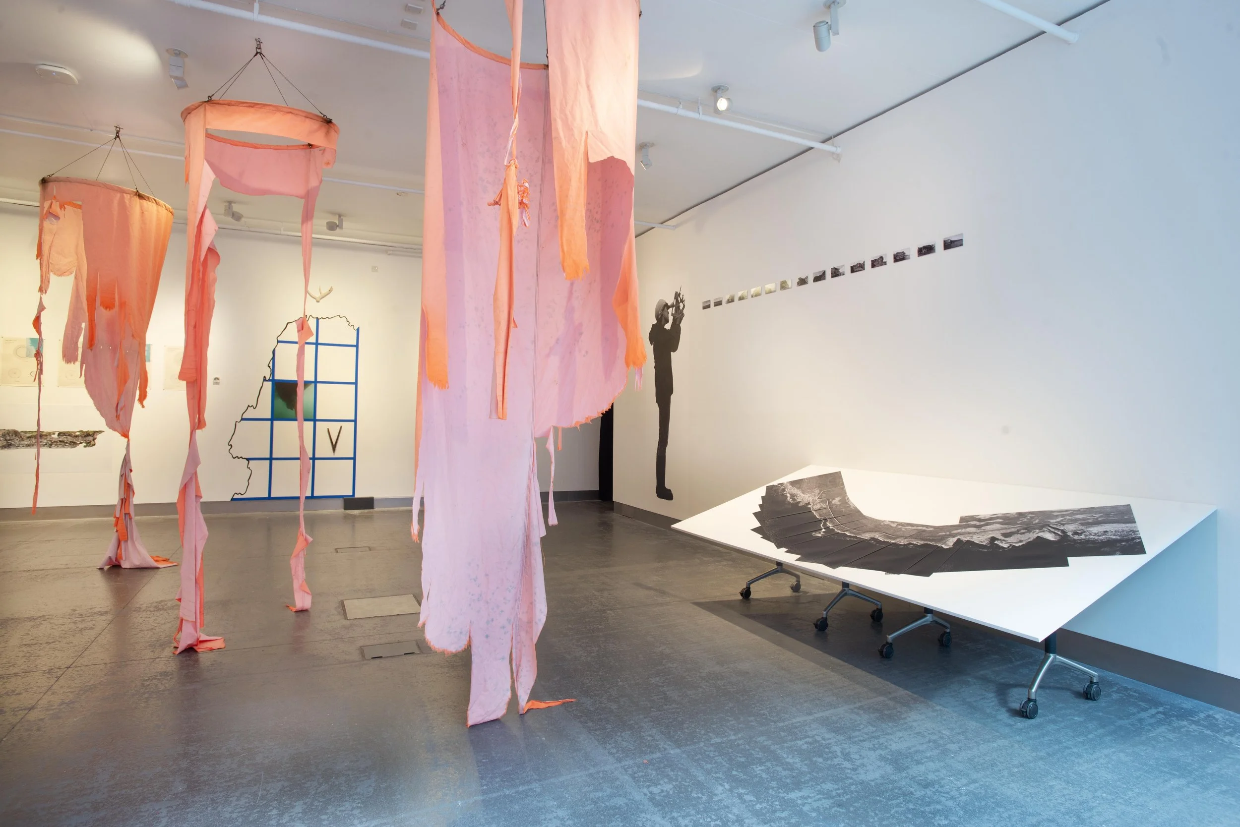 survy-installation-view_54827583204_o.jpg