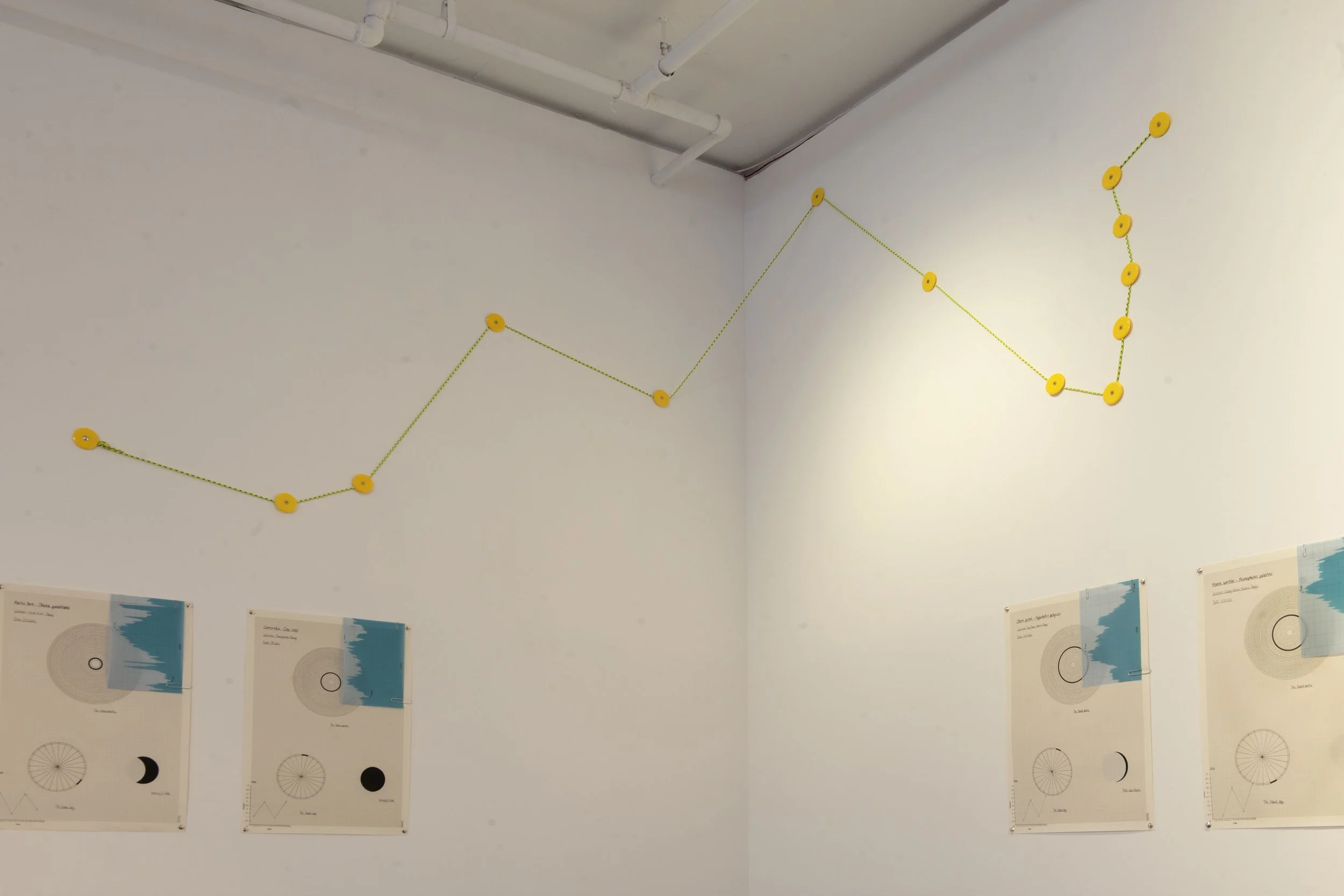 survy-installation-view_54827606058_o.jpg