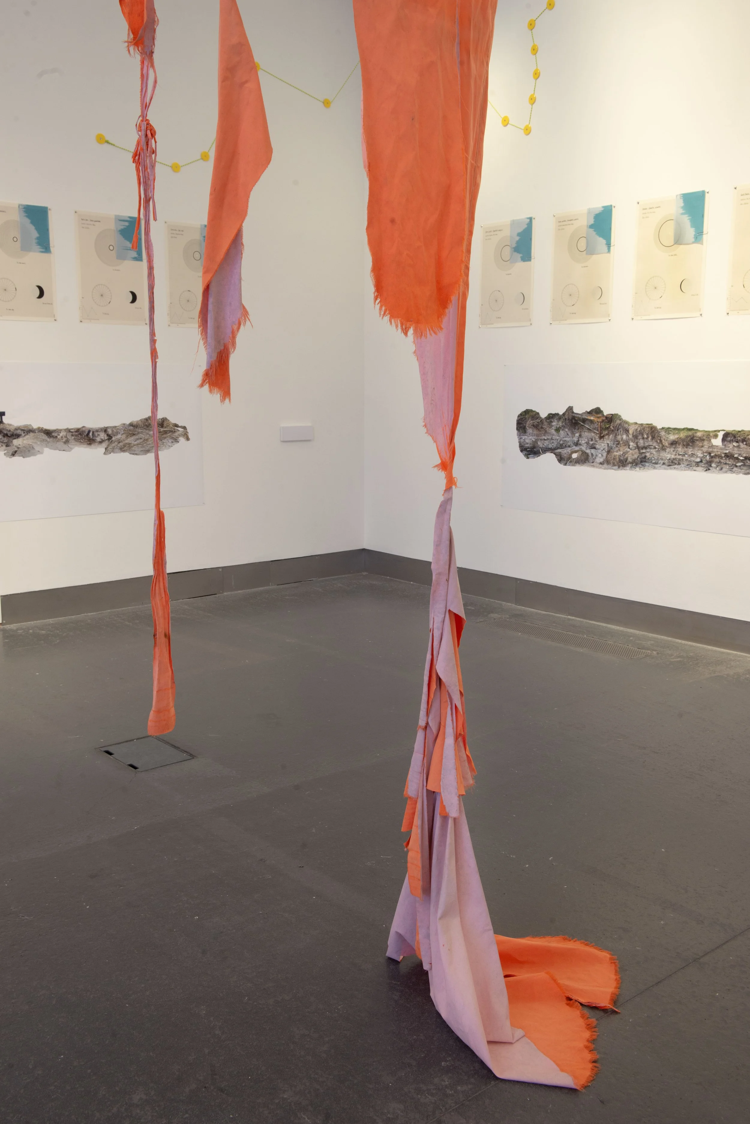 survy-installation-view_54827606093_o.jpg