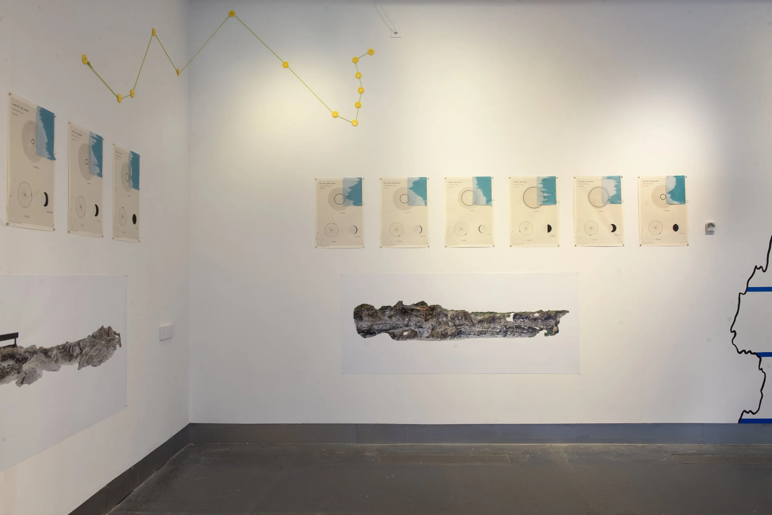 survy-installation-view_54827606133_o.jpg