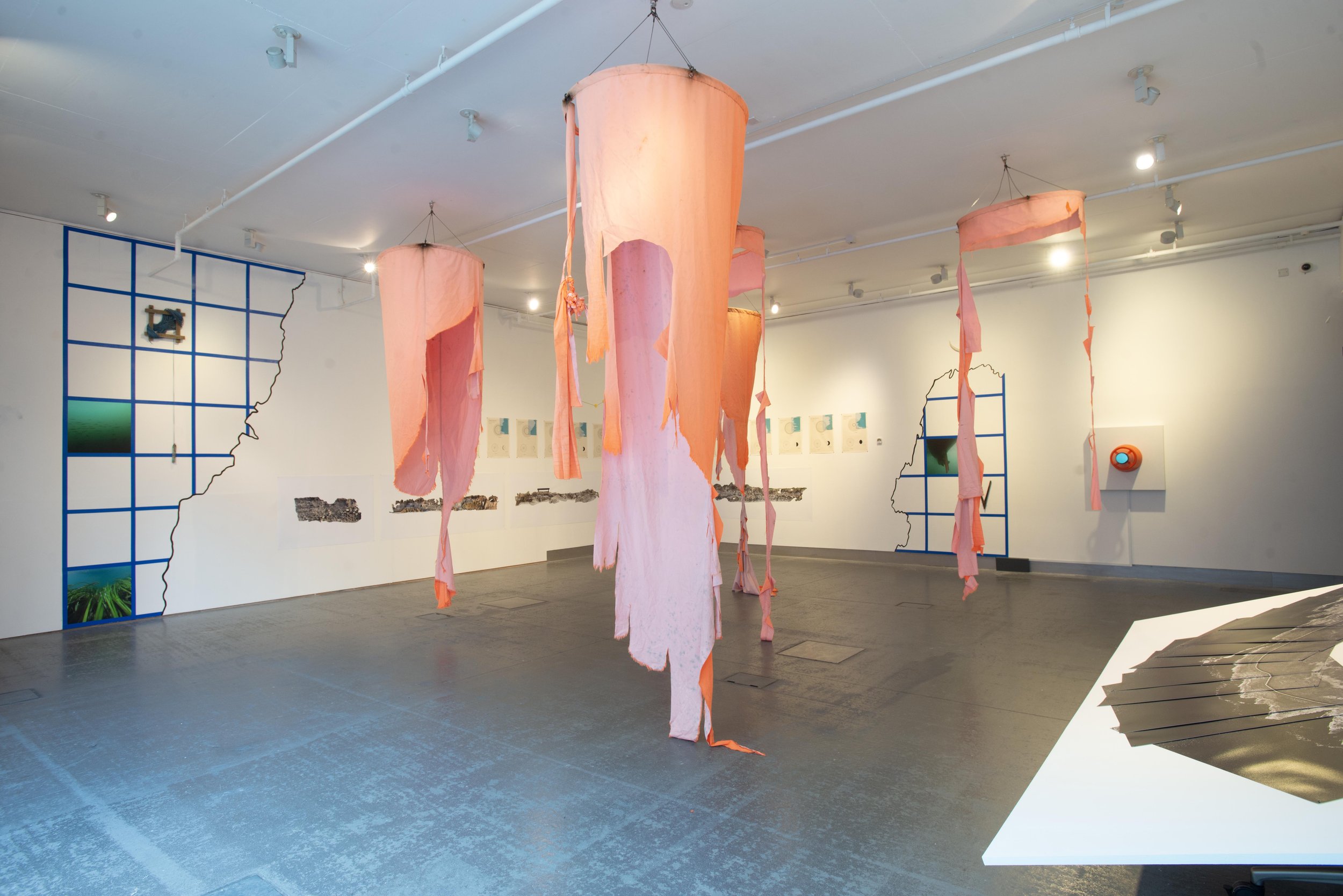 survy-installation-view_54827606458_o.jpg