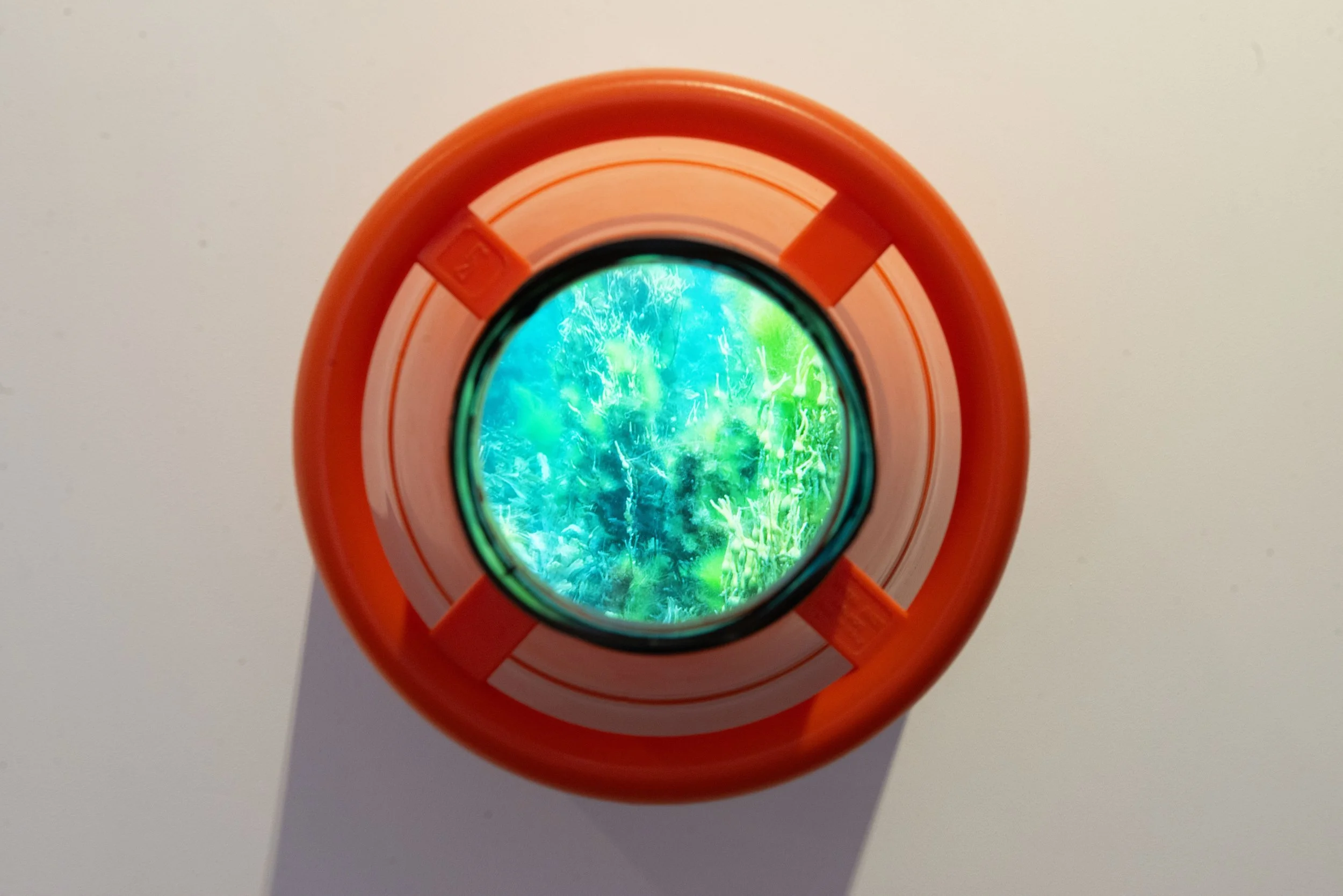 survy-installation-view_54827606278_o.jpg