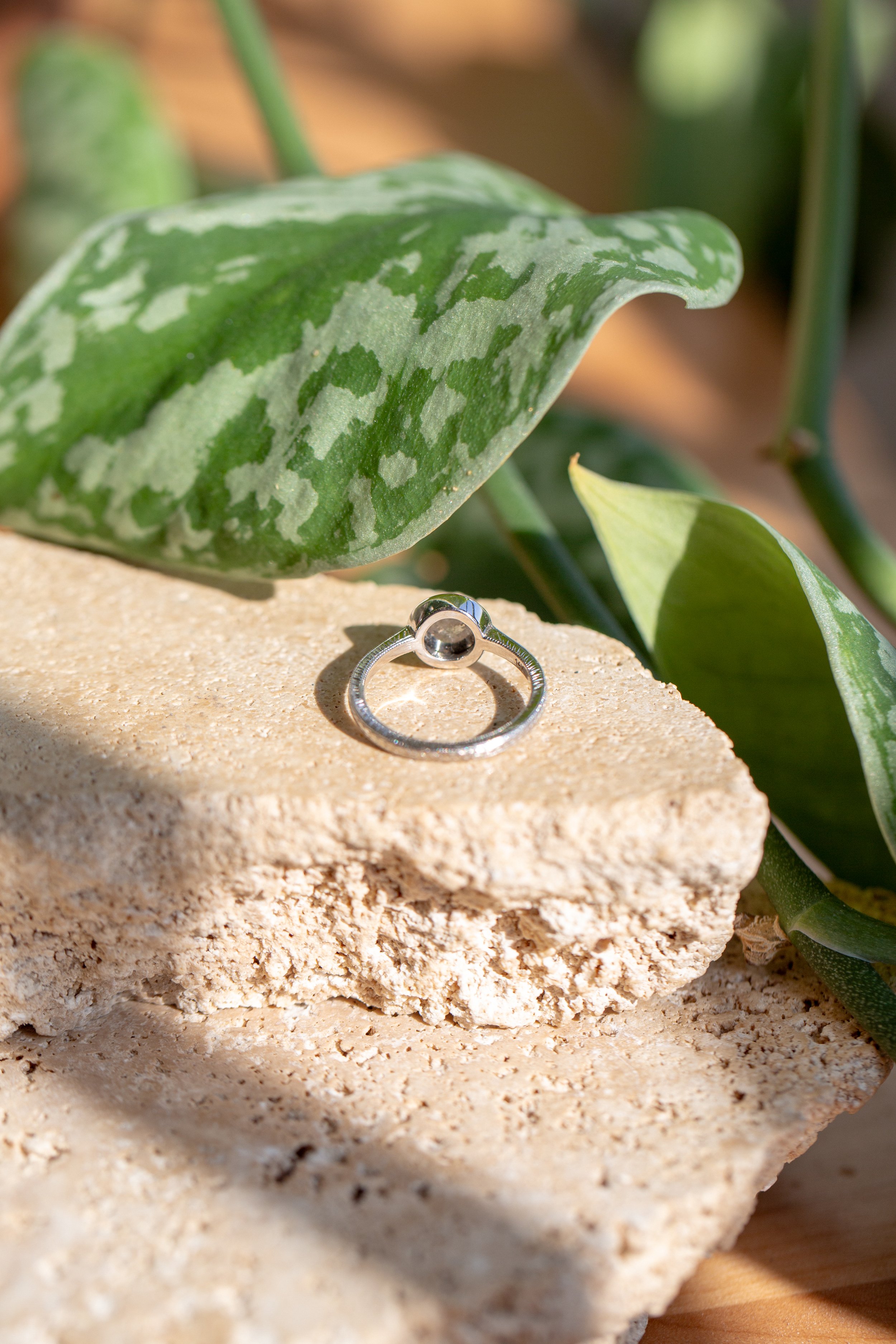 Rendrag Wednesday Ring 2025-10.jpg