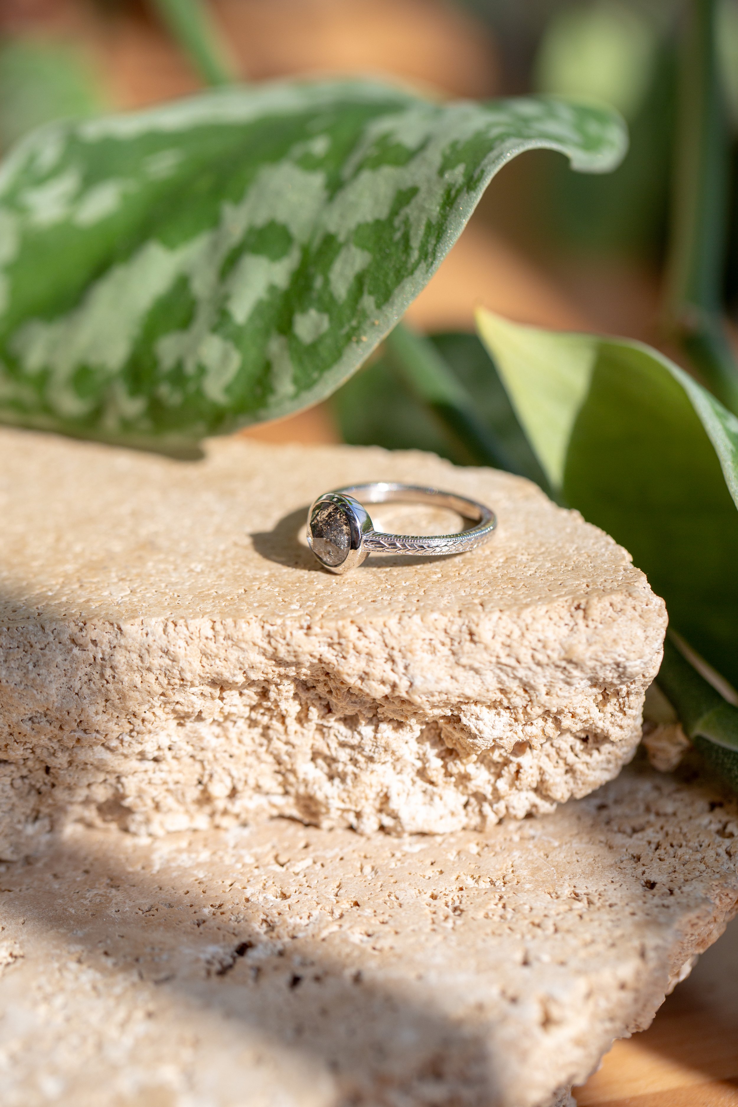 Rendrag Wednesday Ring 2025-12.jpg