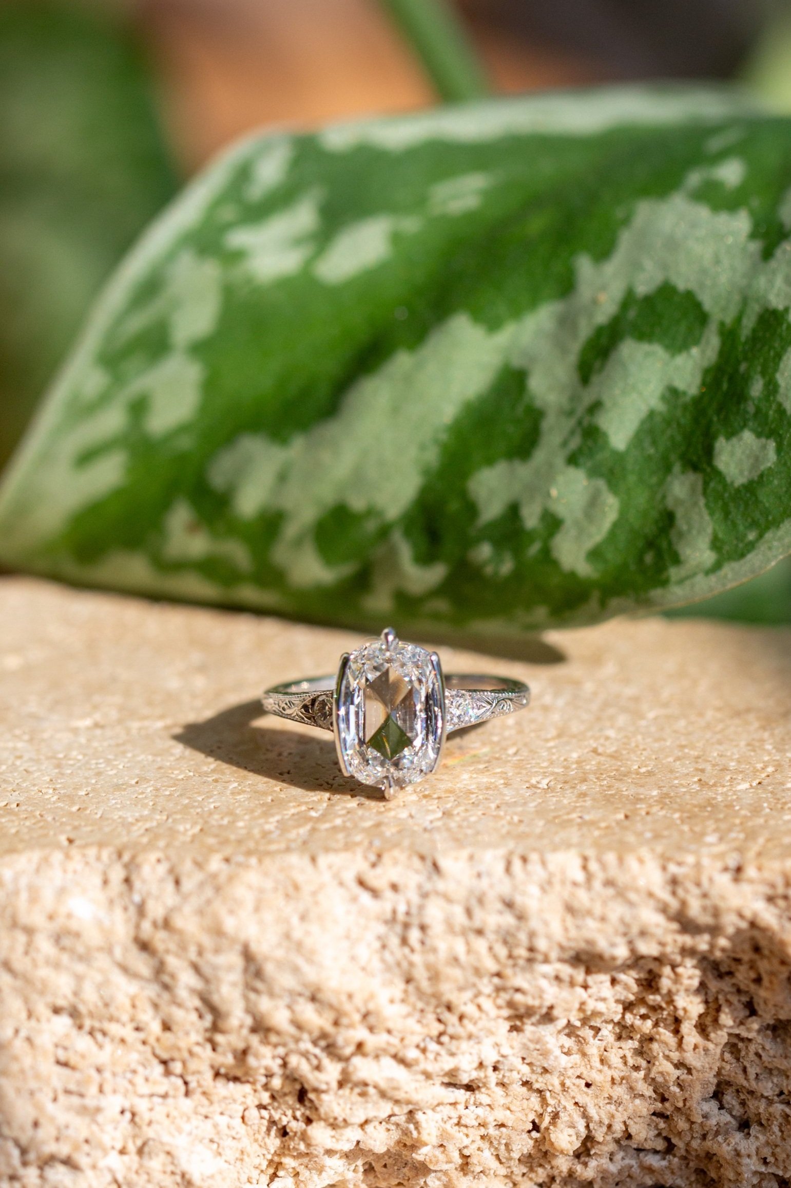 Rendrag+Lydia+Diamond+Ring+2025V2+-15.jpg