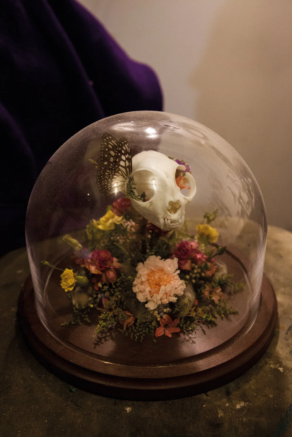 02__montse-morcate_taxidermy.jpg