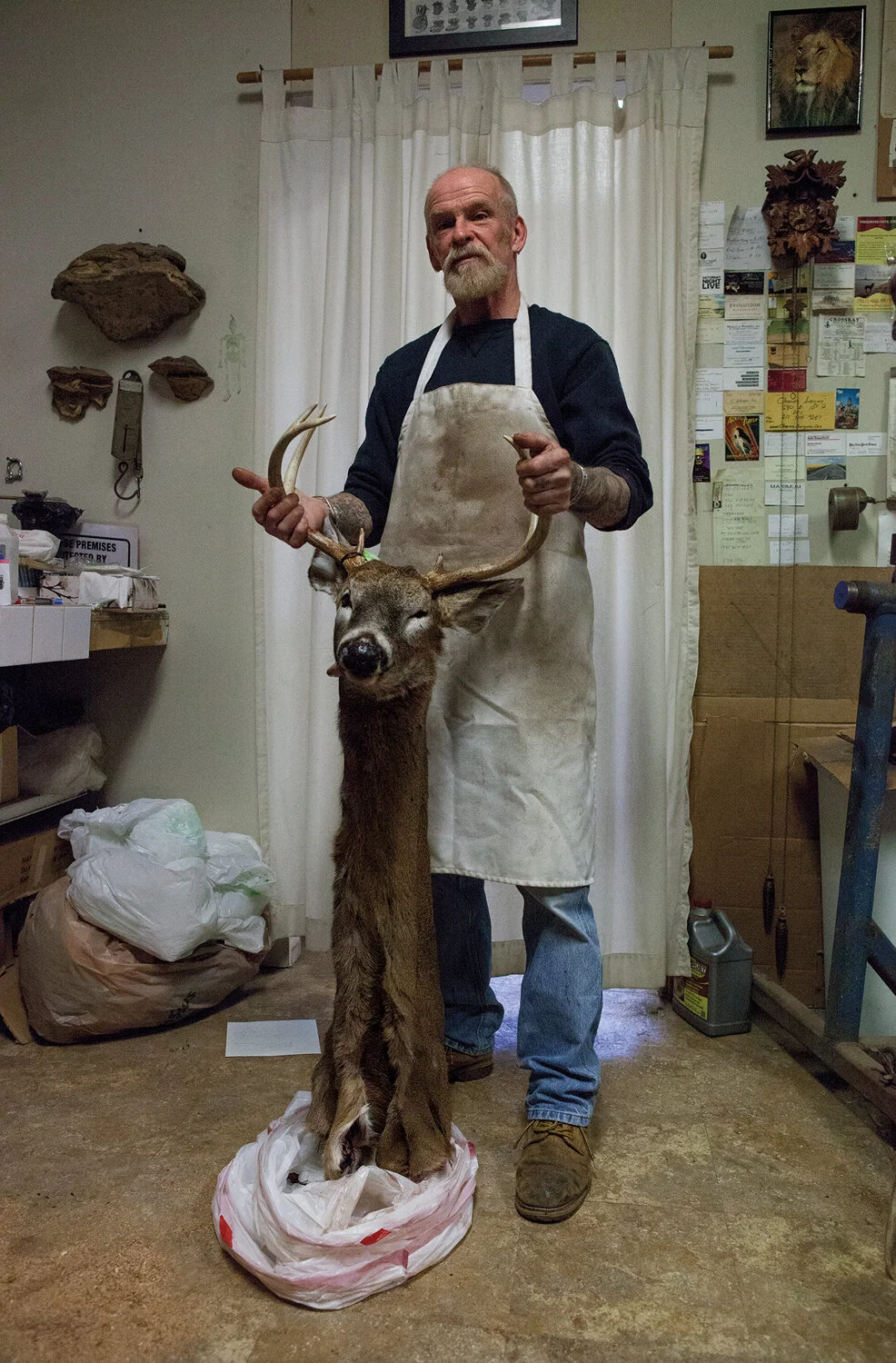 11_montse-morcate_taxidermy.jpg