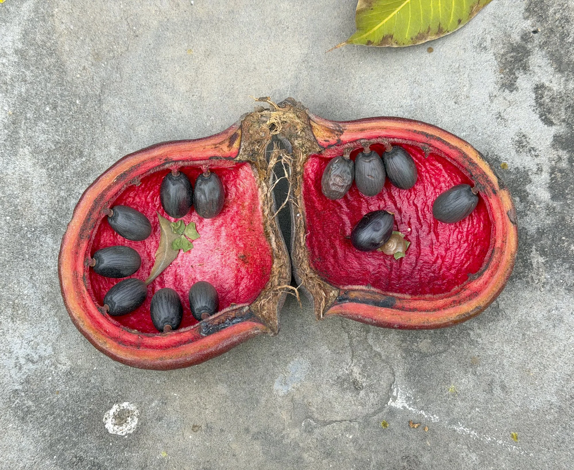 042071varanasi_IMG_1067 (1).jpg