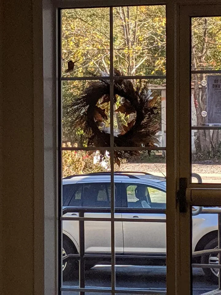 BIRD.jpg
