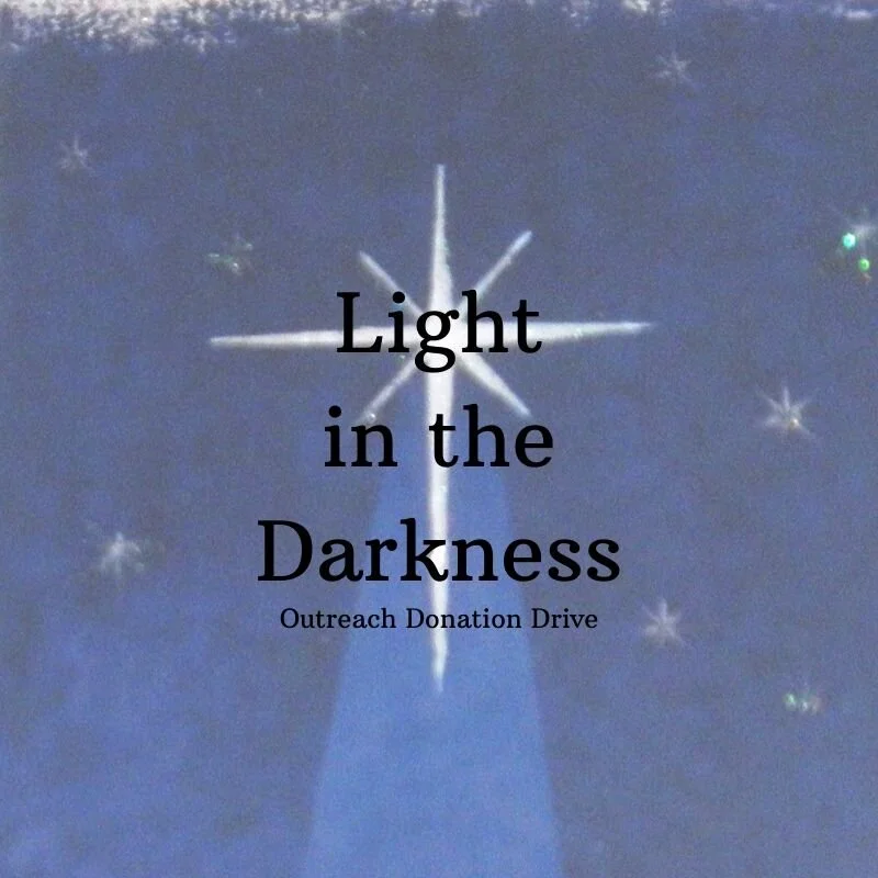 Light in the Darkness.jpg
