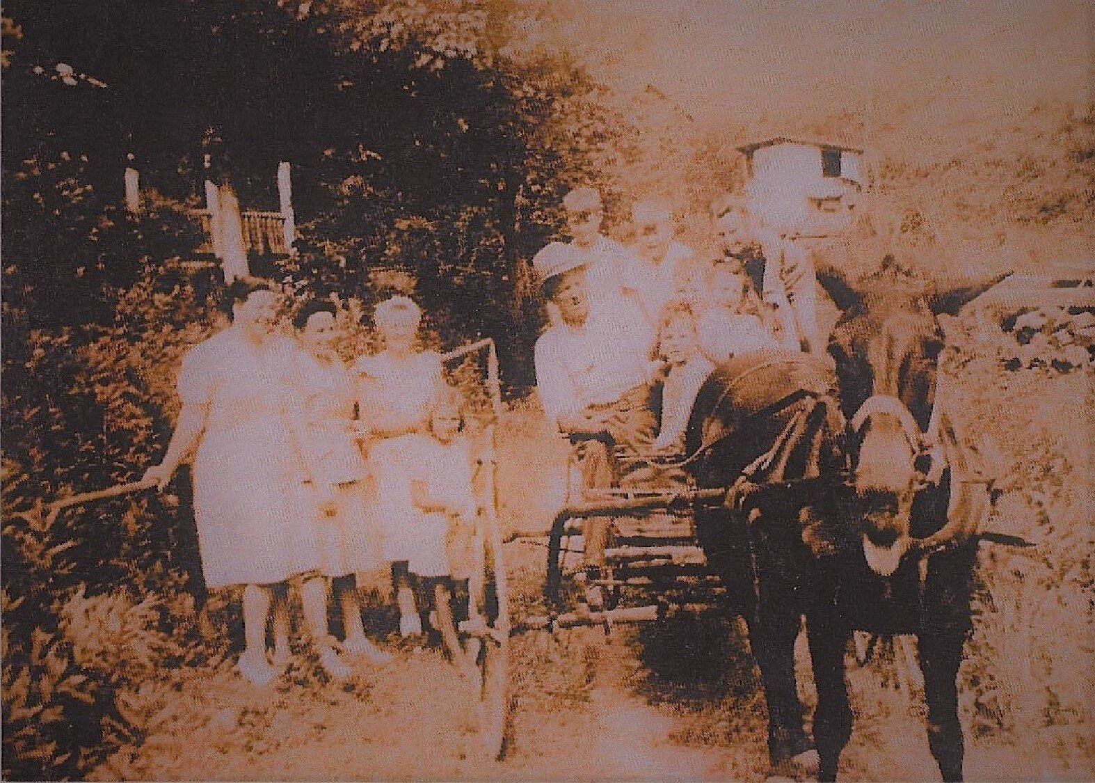 picture scans 2-page-100.jpg